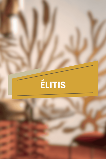 &Eacute;litis Behangstaal