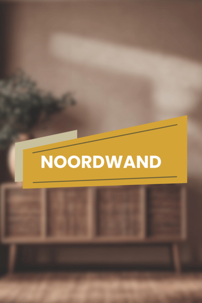 Noordwand Behangstaal